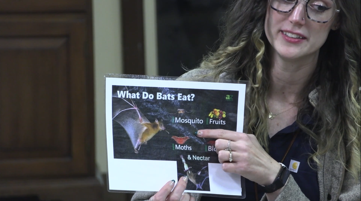 Kids learn about bats at Johnny Appleseed park program